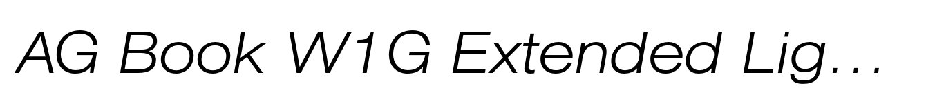 AG Book W1G Extended Light  Italic